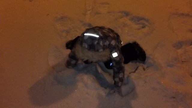 Письмо Санте смотреть онлайн