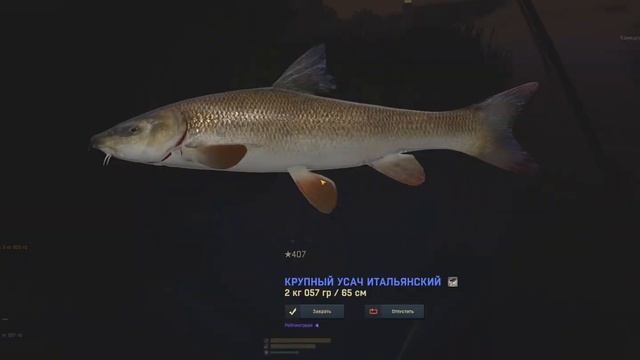 Fisher Online-Голавль,Кефаль сингиль(Италия) смотреть онлайн