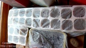 Что посадить на рассаду в декабре и январе  Эустома