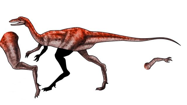 Dinosaurs | 불카노돈외 5종류 공룡 알아보기 | Dinosaur Game | dinosaur study | 공룡퍼즐게임 | 새로운 공룡 알아보기 смотреть онлайн