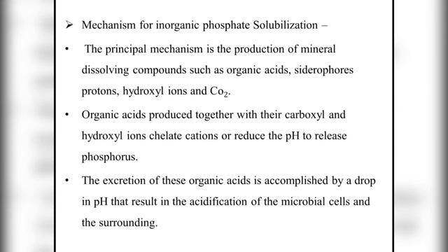 PSB|Phosphate Solubilizing Bacteria Biofertilizers|Phosphate Solubilization mechanism|Application. смотреть онлайн