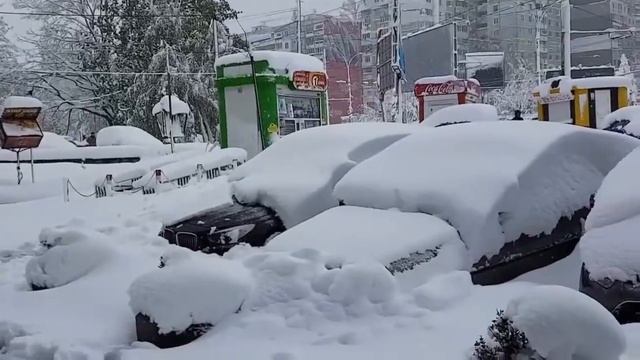 Апрель 2017, снегопад весенний