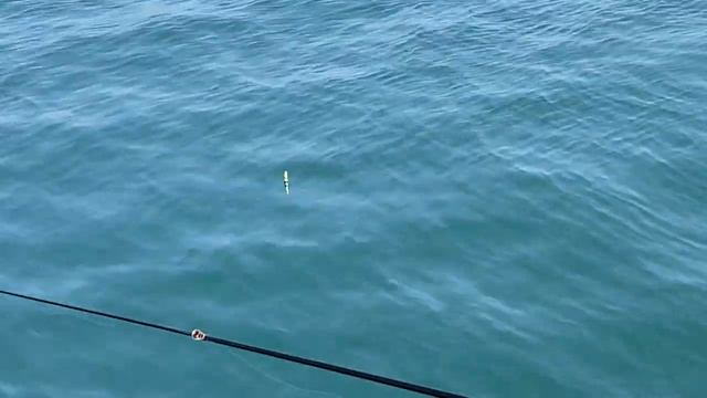 Рыбалка на черном море в апреле. Поймали радужную форель и зеленуху. смотреть онлайн