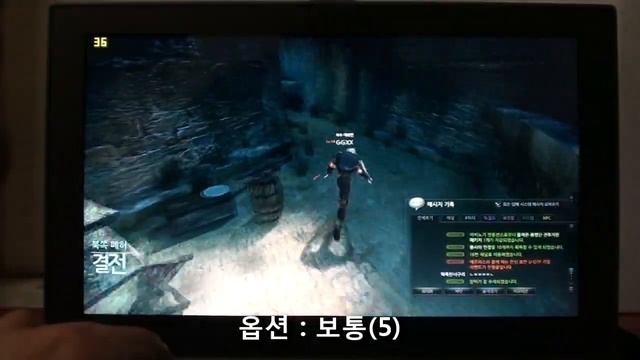 Intel HD Graphics 3000 (ULV) Game Test - Mabinogi Heroes