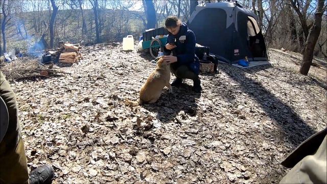 ПРОГУЛКА ВДОЛЬ РЕКИ ДНЕСТР / ВСТРЕЧА С СЕРГЕЕМ / ТРЕНИРОВКИ НА РЕКЕ 26.03.2021 смотреть онлайн