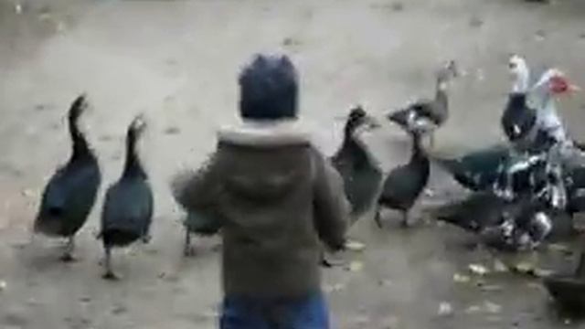 ПУТЕШЕСТВОВАТЬ ЛУЧШЕ С ДЕТЬМИ ИЛИ 500 км невероятных эмоций смотреть онлайн