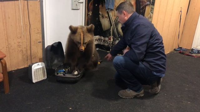 Надо научить посуду мыть. смотреть онлайн