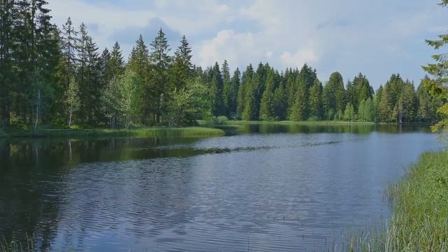 Рыбалка | Страшные истории смотреть онлайн