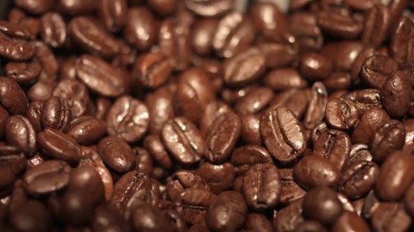 Schaerer Coffee Joy koffiemachine - Jacobs Douwe Egberts Professional