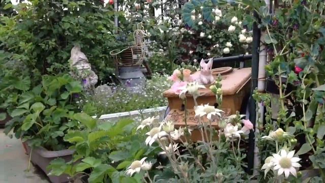 Shiuan's Rose Garden 2018.5.2 花園日記 смотреть онлайн