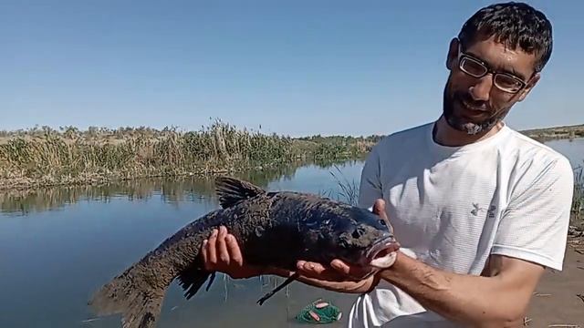 ВОТ ЭТОТ ТОРПЕДО ЧЁРНЫЙ АМУР 8 КГ конце рыбалка смотреть онлайн