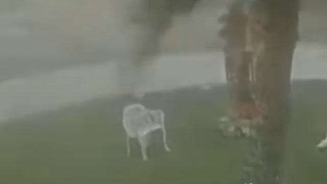 а стул хорош😎 смотреть онлайн