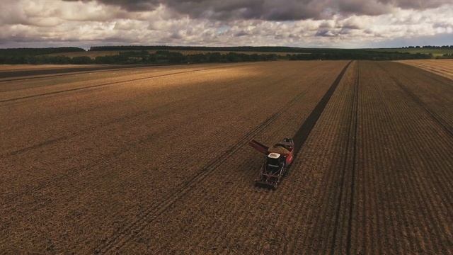 APH Group Field Equipment - Review (RU) - Самоходный картофелеуборочный комбайн Dewulf Kwatro