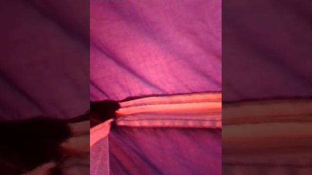 Мы снова начуем в палатке смотреть онлайн