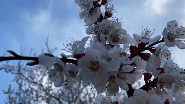 4 неделя. Медитация Джо Диспенза. Сила подсознания. смотреть онлайн