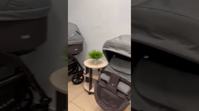 Коляска 2 в 1 Riko Basic смотреть онлайн