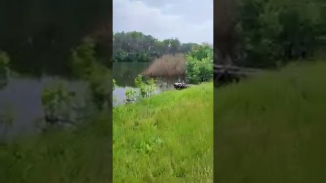 Волго-Ахтубинская пойма_Рыбалим по честному_ Ждем улова