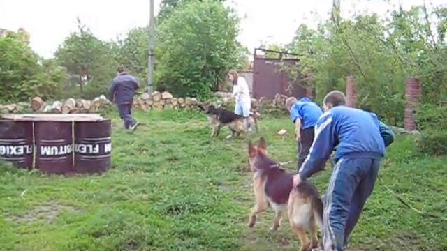 И зимой и летом смотреть онлайн