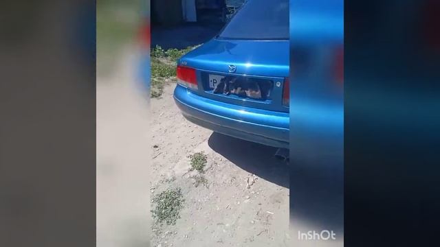 12 августа 2022 г. результат ремонта моей мазда 626 ge смотреть онлайн