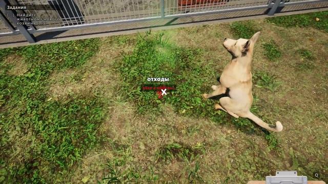 ТЕПЕРЬ У МЕНЯ ЕСТЬ СВОЙ ПИТОМНИК ➤ Animal Shelter Prologue смотреть онлайн