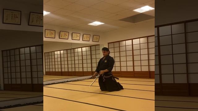 Genko Nito Ryu Iaido Kata: Wakou 玄黄二刀流 居合形 和光 смотреть онлайн