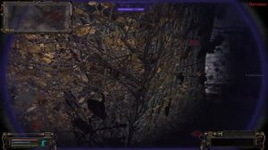 Сталкер ОП 2.1-2.2 Все тайники Коллекционера на Дикой Территории после Янтаря