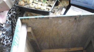 ЛОВУШКА ДЛЯ ПЧЕЛИНОГО РОЯ СВОИМИ РУКАМИ.ЧЕРТЁЖ С РАЗМЕРАМИ.