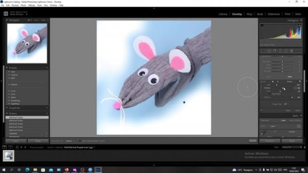 How To Remove Background Adobe Lightroom Tutorial