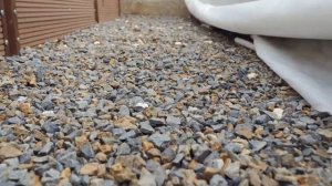 "Усадьба": "Огород с Блокиным-Мечталиным"