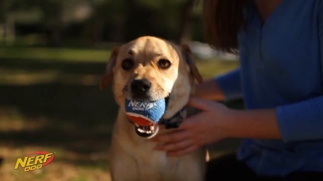 Бластер Nerf DOG Blaster смотреть онлайн