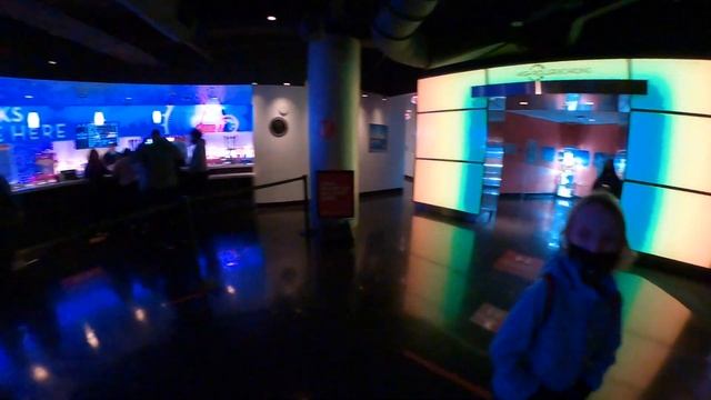 ВЛОГ: Колесо Обозрения в ЛАС ВЕГАСЕ БЕСПЛАТНО. Буффет Makino. смотреть онлайн