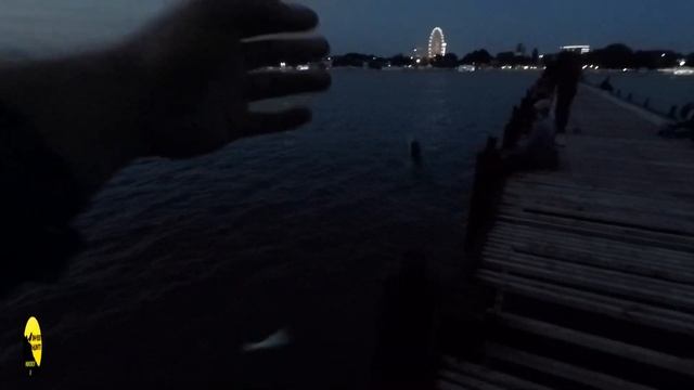 ЖОР СТАВРИДЫ, МОРСКАЯ РЫБАЛКА В МАЕ #fishing #рыбалка #море #ставрида #барабуля смотреть онлайн