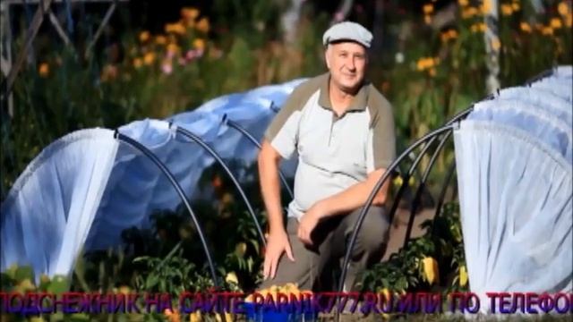 Парник подснежник Parnik777 ru смотреть онлайн