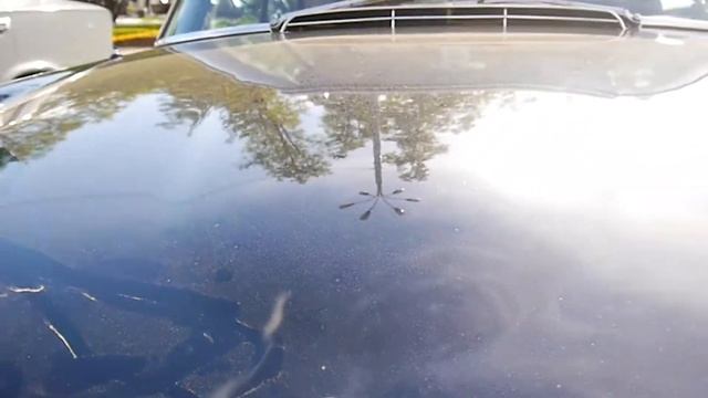 Mercedes-Benz 280 SL “PAGODA” - Мерседес Бенц с вогнутой крышей! Классические редкие автомобили 202