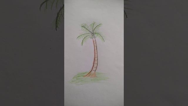 नरियल का पेड़ 🏝️ смотреть онлайн