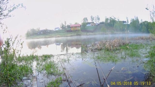 Клев карася и плотвы весной смотреть онлайн