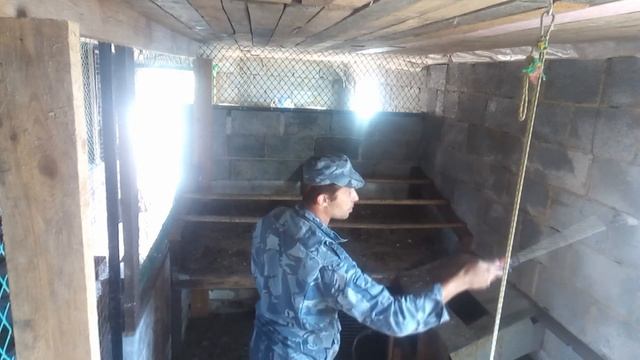 Подготовка курятника к зиме Ч 2! Побелка курятника смотреть онлайн