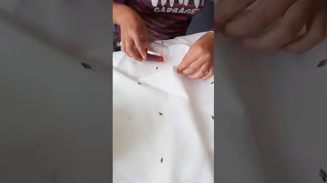 Чудестная скатерть 100% водоотталкивающая смотреть онлайн