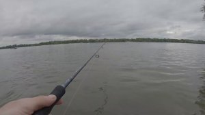 Белый хищник. Ловим язя на кренки. Рыбалка на спиннинг