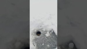 Протаскивание Шнура подо Льдом! Или как Поставить Сеть Под Лед Одному.