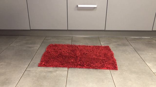 Нюхательный коврик для собак ?Чем занять собаку ❓ Интелектуальные игры для собаки ?? смотреть онлайн