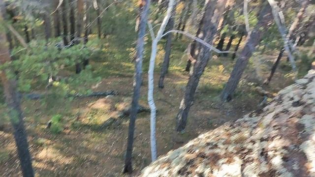 Красноярские столбы часть1. Прекрасный закат, дикие звери, птицы и немного жути ночного леса смотреть онлайн