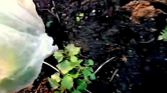 ФАРФОРОВАЯ КОЖА , ДОБАВЛЯЮ КРЕМНИЙ, МАГНИЙ, КАЛИЙ И БЕРУ Я ИХ ТОЛЬКО ЗДЕСЬ 1.11.2016 смотреть онлайн