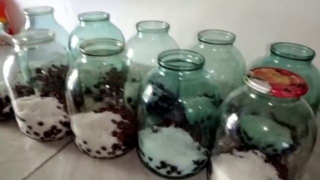 Пир во Вкусе