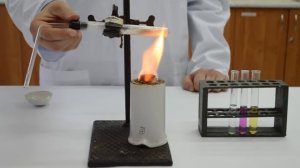 Алканы. Органическая химия