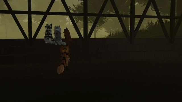 Видео тип смотреть онлайн