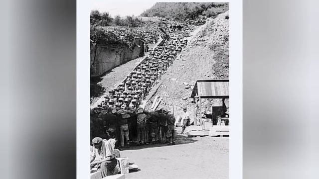 моя родословная смотреть онлайн