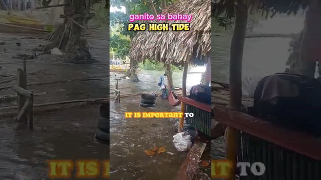 motivational message смотреть онлайн