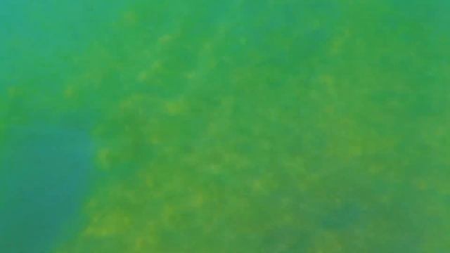UNDERWATER - Xiaomi YI FULL HD смотреть онлайн
