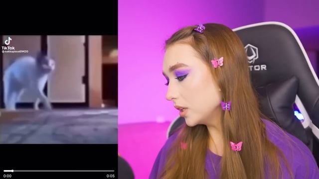 РЕАКЦИЯ на ТИК-ТОК от МИЛС КЕЛА ? ПОПРОБУЙ не ЗАСМЕЯТЬСЯ смотреть онлайн